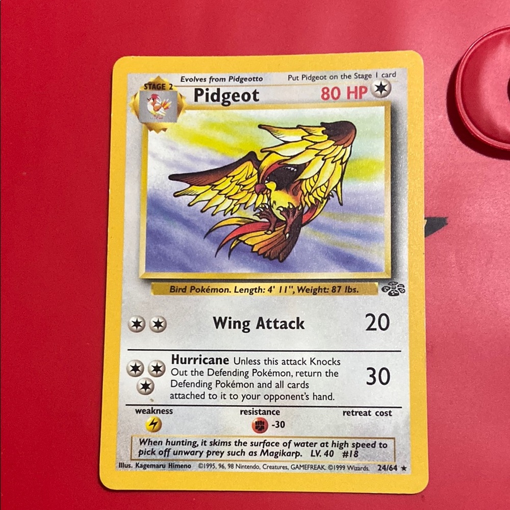 Pidgeot 24/64 - Jungle Unlimited - Non Holo Rare - WOTC